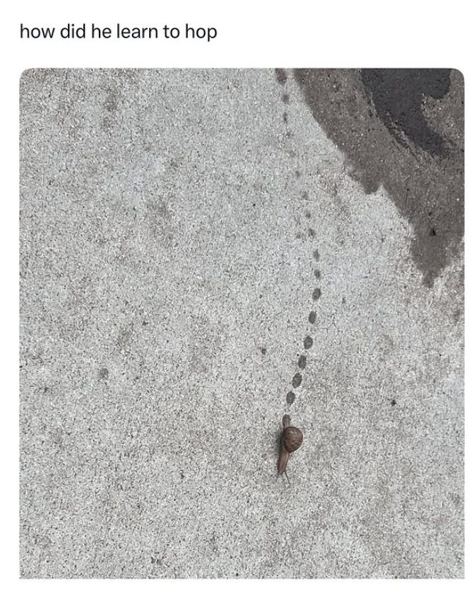 how did he learn to hop