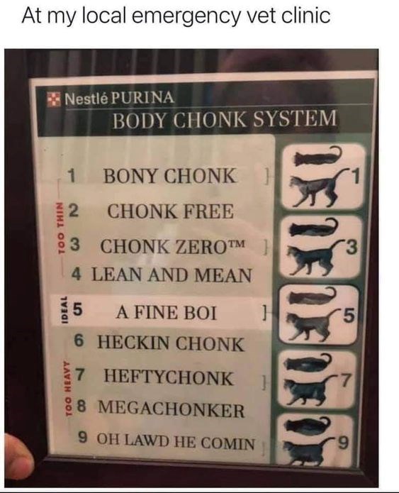 IDEAL TOO THIN At my local emergency vet clinic Nestlé PURINA BODY CHONK SYSTEM 1 BONY CHONK 2 CHONK FREE 3 CHONK ZERO™M 4 LEAN AND MEAN 5 A FINE BOI H 5 6 HECKIN CHONK 7 HEFTYCHONK 88 MEGACHONKER 9 OH LAWD HE COMIN 9 7 3