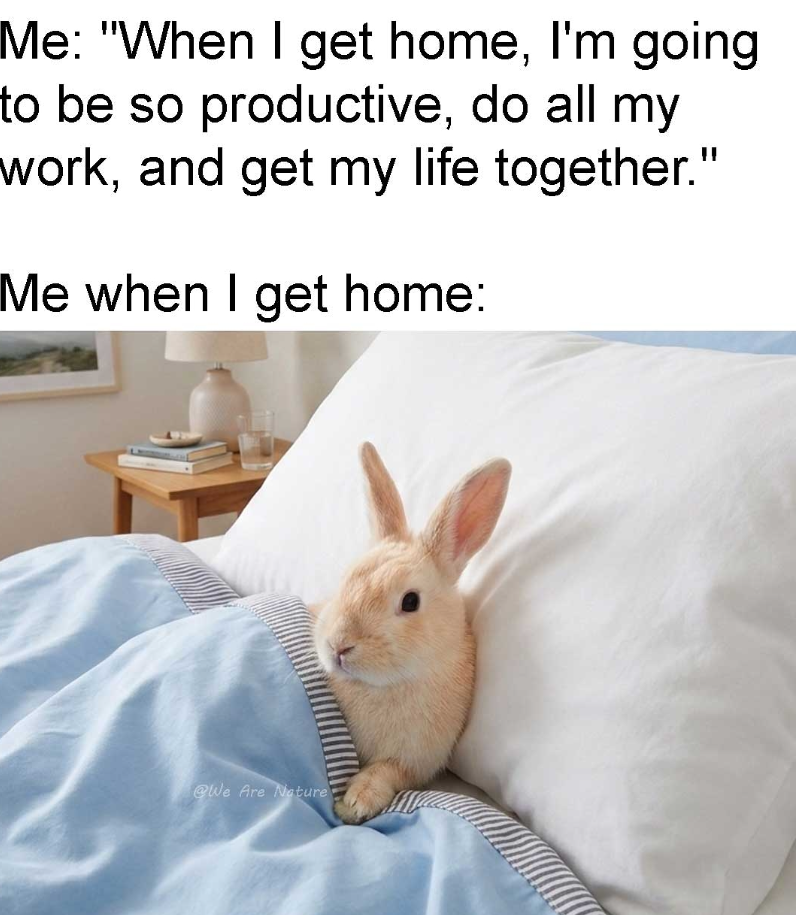 Me: "When I get home, I'm going to be so productive, do all my work, and get my life together." Me when I get home: @We Are Nature