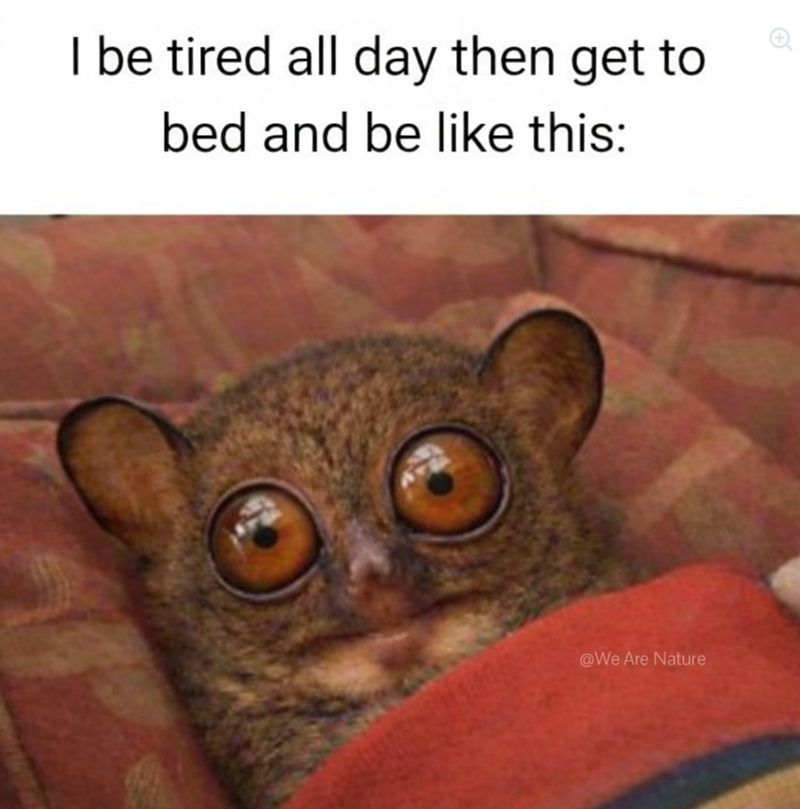 I be tired all day then get to bed and be like this: @We Are Nature
