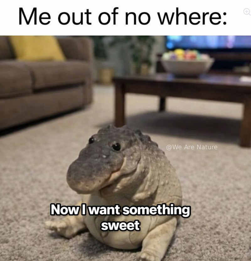 Me out of no where: @We Are Nature Now I want something sweet