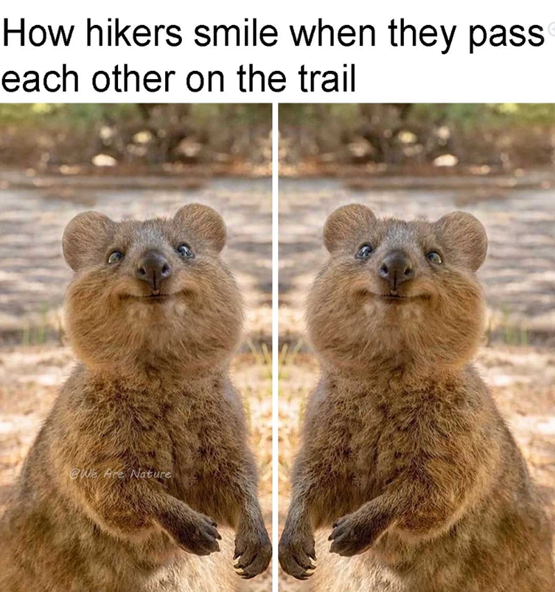 How hikers smile when they pass each other on the trail We Are Nature
