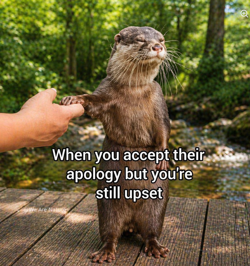 When you accept their apology but you're still upset @We Are Nature