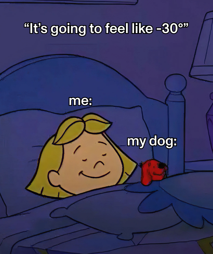 "It's going to feel like -30°" me: my dog: