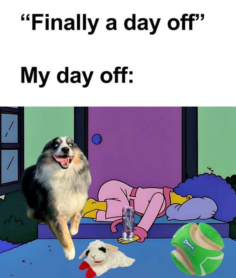 "Finally a day off" My day off: Chuckit! MICH FETCH