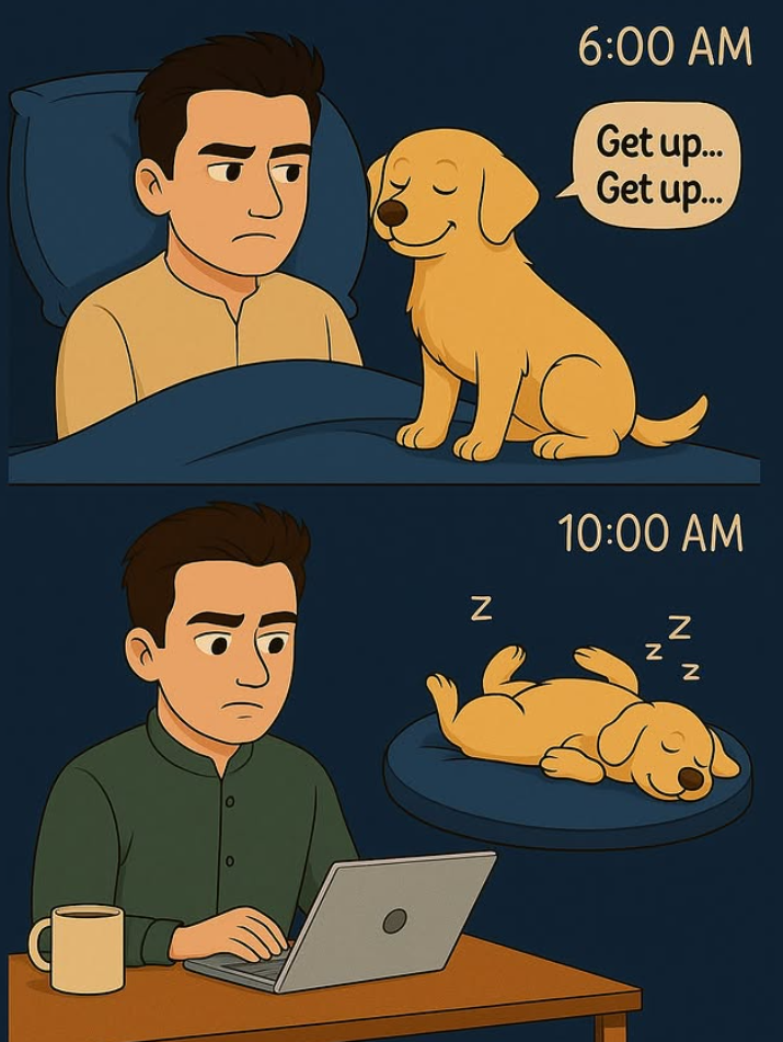 6:00 AM Get up... Get up... Z 10:00 AM N N N