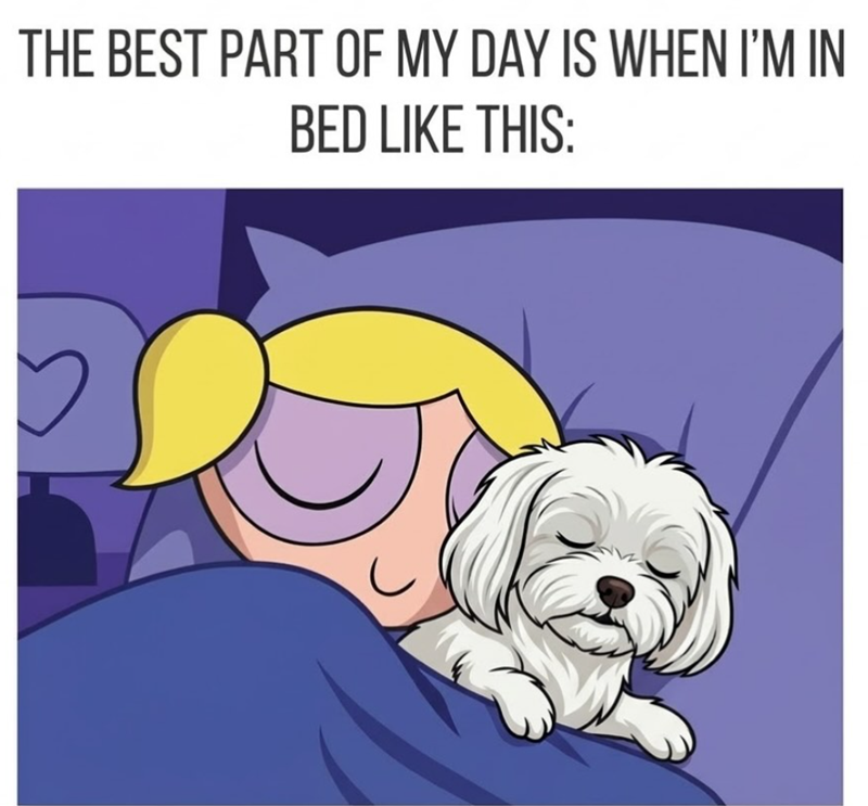 THE BEST PART OF MY DAY IS WHEN I'M IN BED LIKE THIS: C