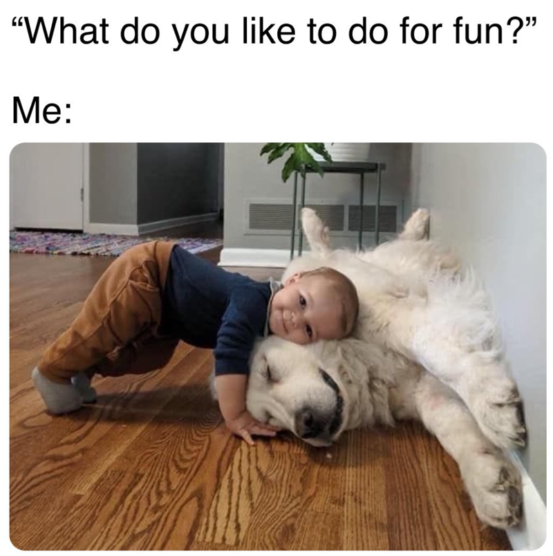"What do you like to do for fun?" Me: