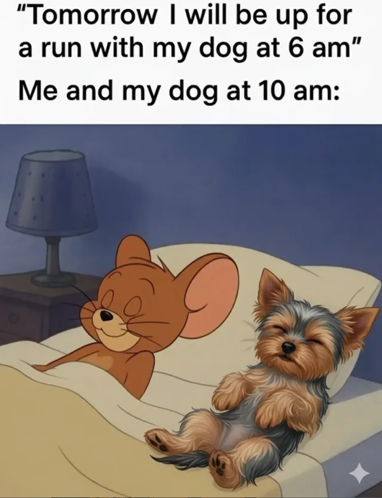 "Tomorrow I will be up for a run with my dog at 6 am" Me and my dog at 10 am: