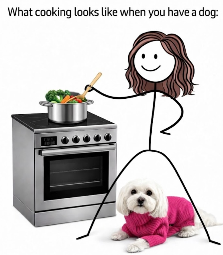 What cooking looks like when you have a dog: C