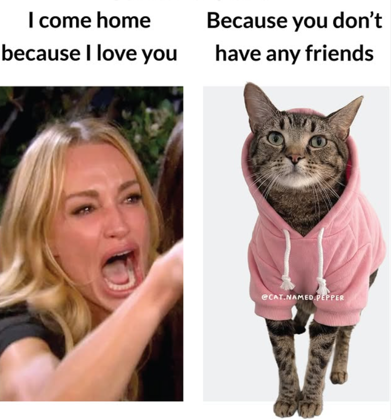 I come home because I love you Because you don't have any friends @CAT.NAMED.PEPPER