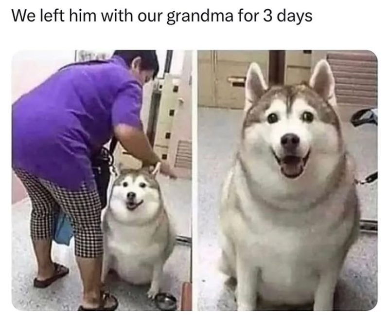 We left him with our grandma for 3 days