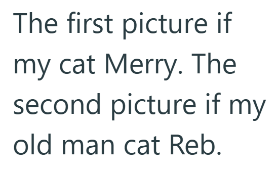 The first picture if my cat Merry. The second picture if my old man cat Reb.