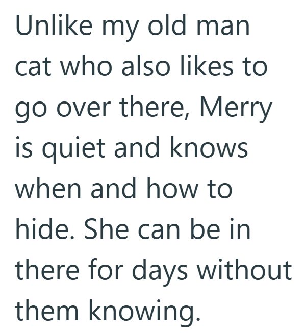 Unlike my old man cat who also likes to go over there, Merry is quiet and knows when and how to hide. She can be in there for days without them knowing.
