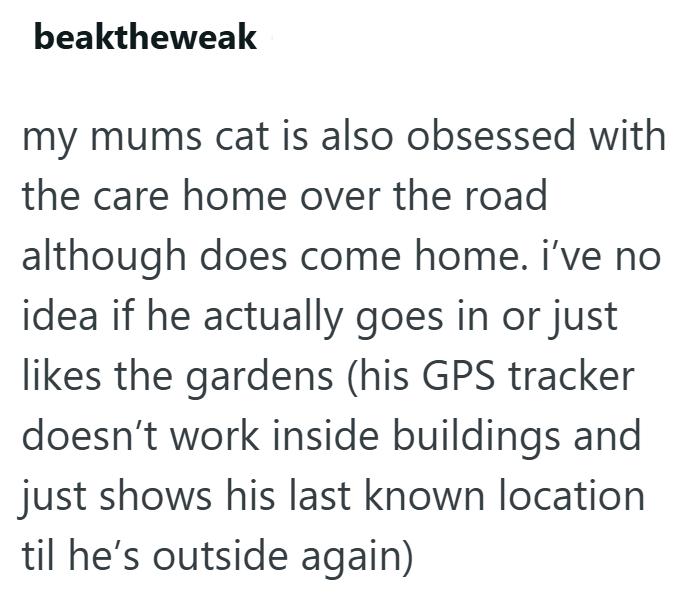 beaktheweak my mums cat is also obsessed with the care home over the road although does come home. i've no idea if he actually goes in or just likes the gardens (his GPS tracker doesn't work inside buildings and just shows his last known location til he's outside again)