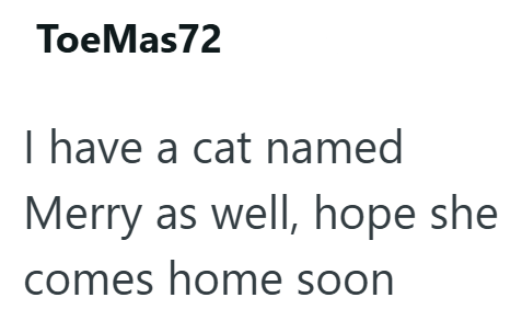 ToeMas72 I have a cat named Merry as well, hope she comes home soon