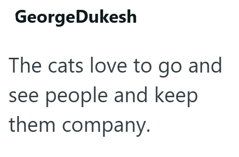 GeorgeDukesh The cats love to go and see people and keep them company.