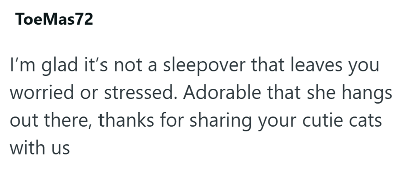 ToeMas72 I'm glad it's not a sleepover that leaves you worried or stressed. Adorable that she hangs out there, thanks for sharing your cutie cats with us