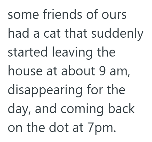 some friends of ours had a cat that suddenly started leaving the house at about 9 am, disappearing for the day, and coming back on the dot at 7pm.