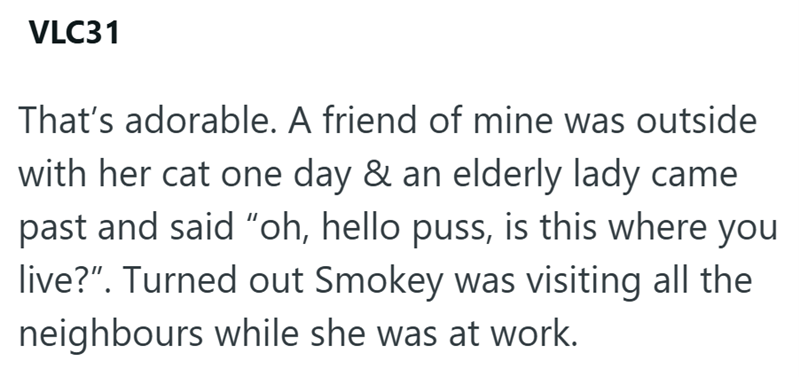 VLC31 That's adorable. A friend of mine was outside with her cat one day & an elderly lady came past and said "oh, hello puss, is this where you live?". Turned out Smokey was visiting all the neighbours while she was at work.