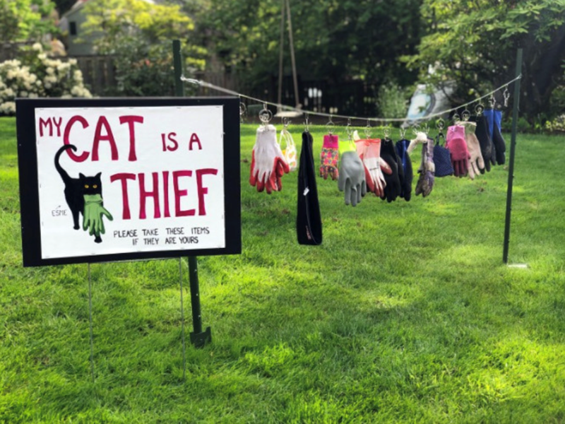 ESME CAT IS A THIEF PLEASE TAKE THESE ITEMS IF THEY ARE YOURS