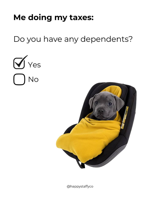 Me doing my taxes: Do you have any dependents? ☑ Yes No @happystaffyco