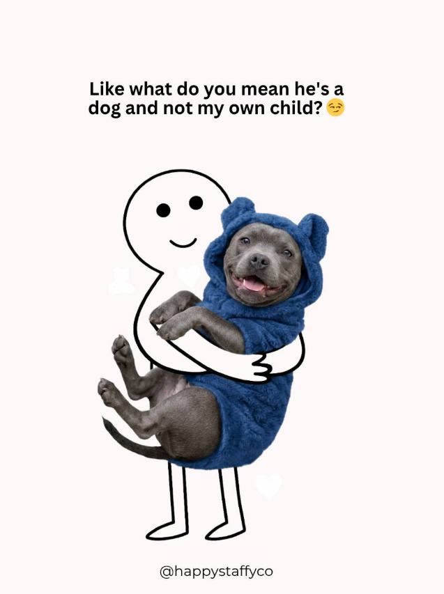 Like what do you mean he's a dog and not my own child? M @happystaffyco