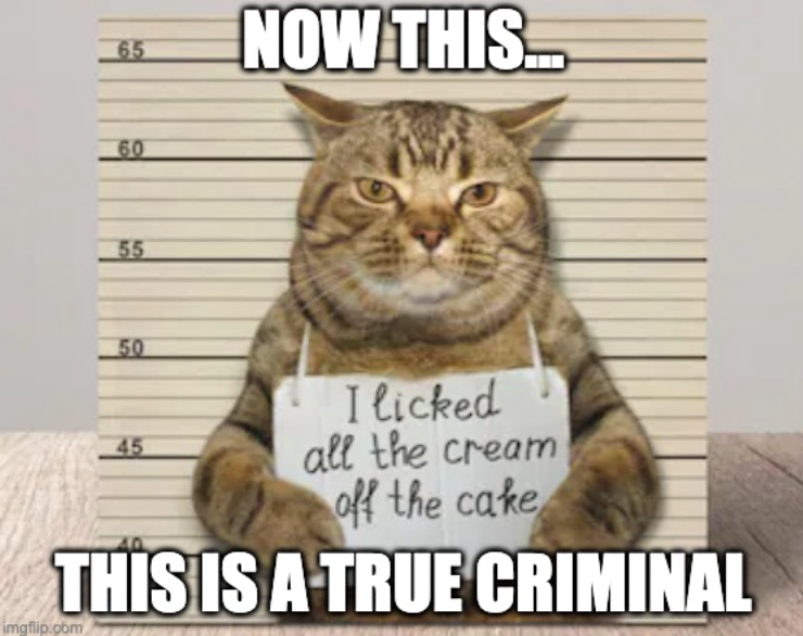 65 60 55 NOW THIS... 50 45 I licked all the cream off the cake THIS IS A TRUE CRIMINAL imgflip.com