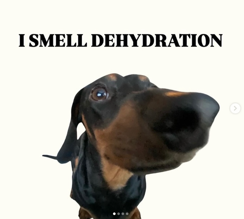 I SMELL DEHYDRATION >