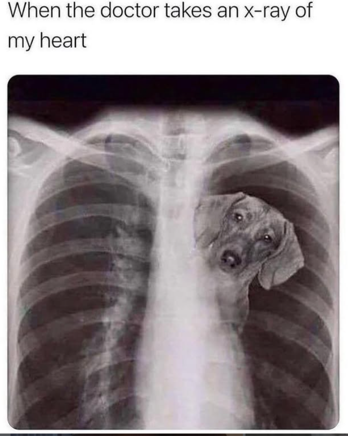 When the doctor takes an x-ray of my heart