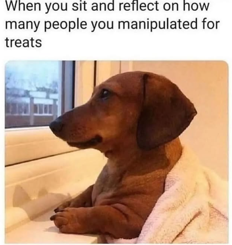 When you sit and reflect on how many people you manipulated for treats