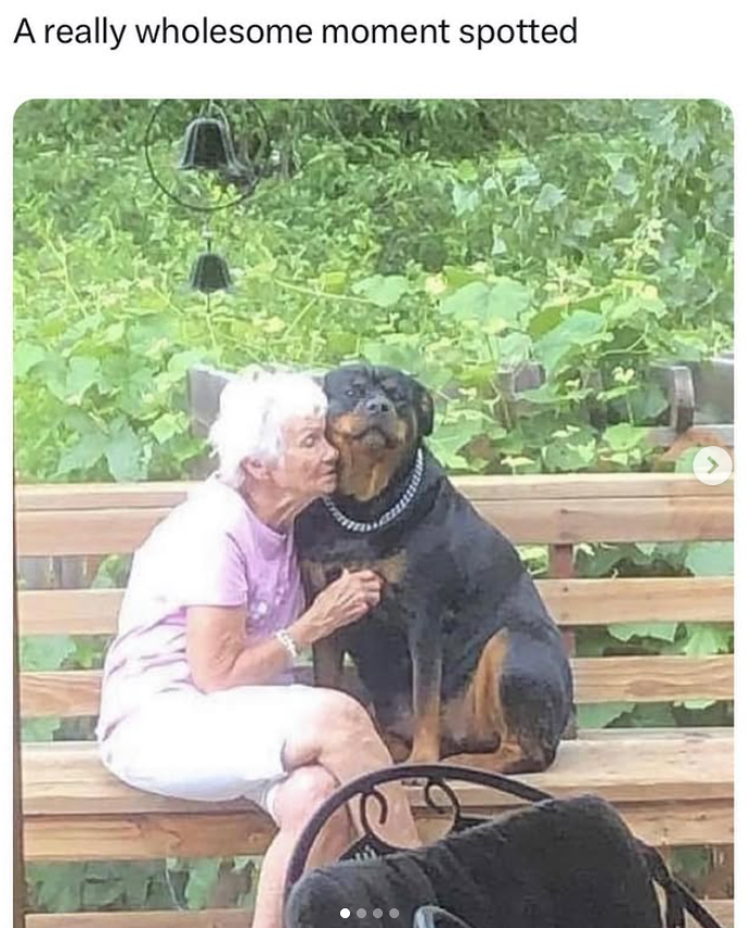 A really wholesome moment spotted >