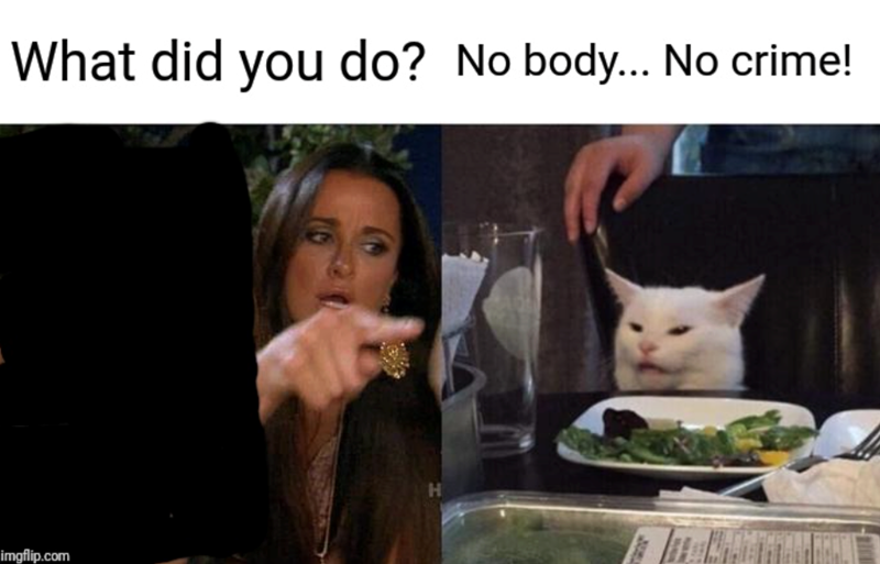 What did you do? No body... No crime! imgflip.com H