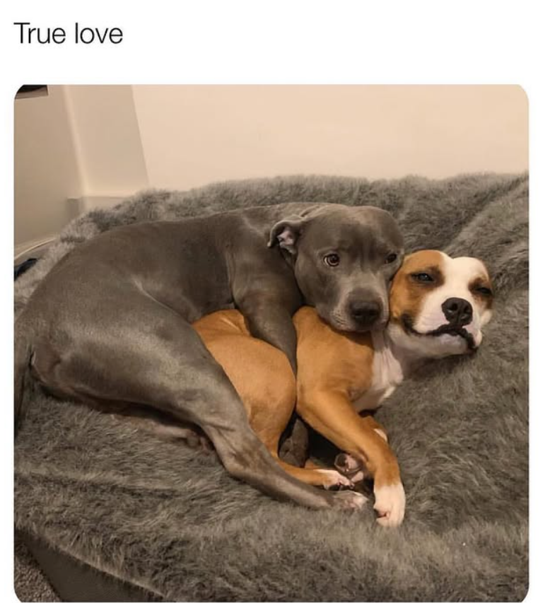 True love
