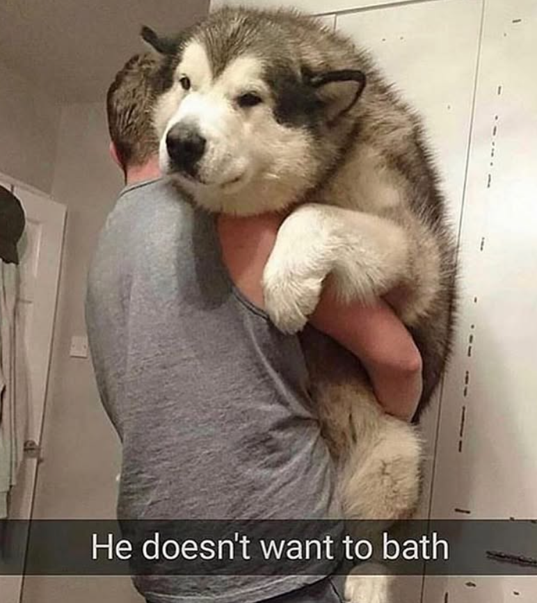 He doesn't want to bath