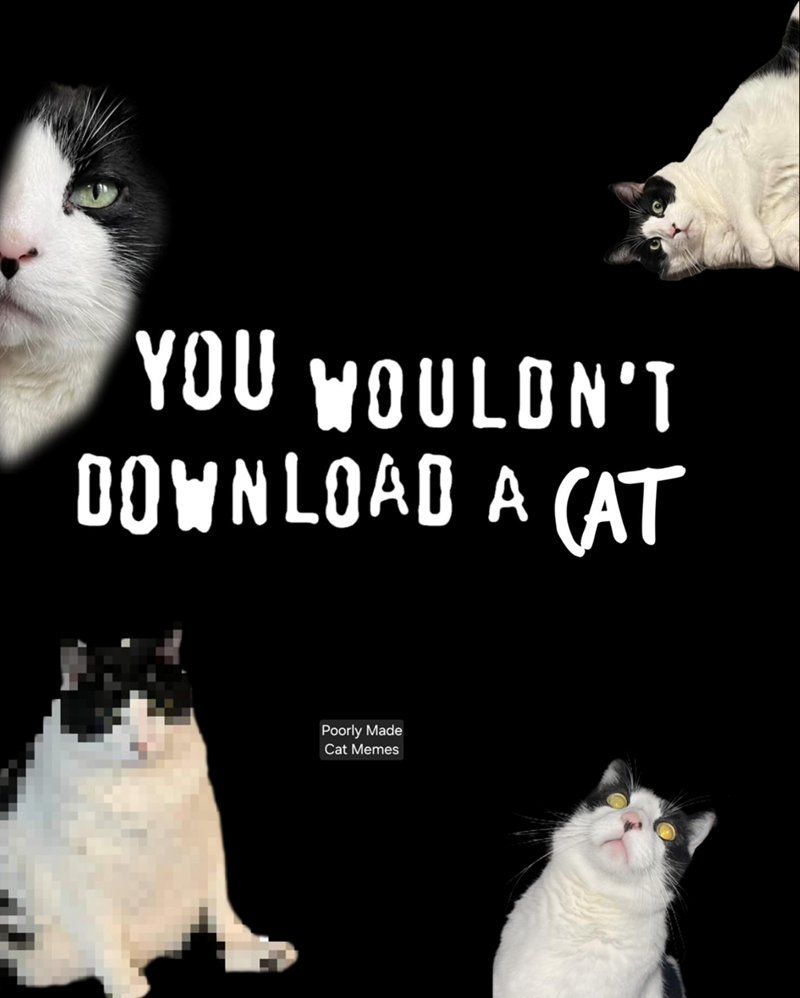 YOU WOULDN'T DOWNLOAD A CAT Poorly Made Cat Memes