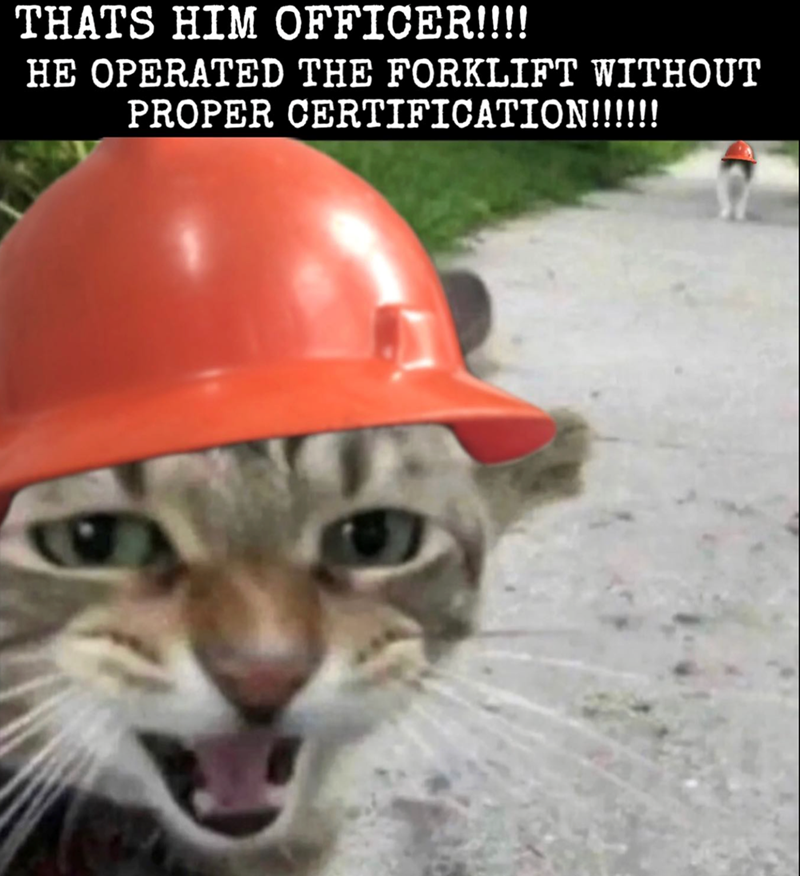 THATS HIM OFFICER!!!! HE OPERATED THE FORKLIFT WITHOUT PROPER CERTIFICATION!!!!!!