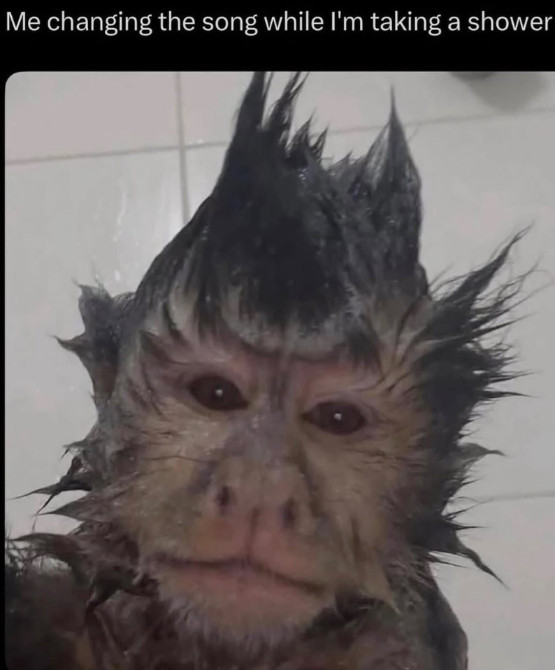 Me changing the song while I'm taking a shower