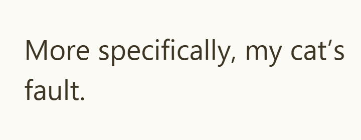 More specifically, my cat's fault.