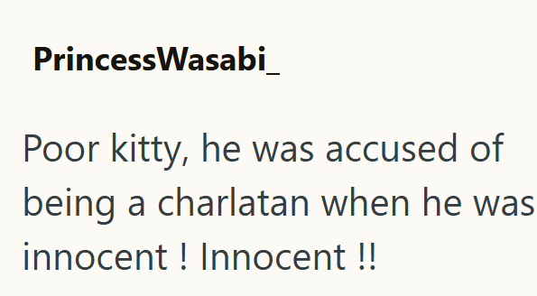 PrincessWasabi_ Poor kitty, he was accused of being a charlatan when he was innocent! Innocent !!