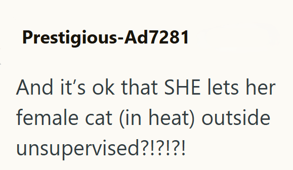 Prestigious-Ad7281 And it's ok that SHE lets her female cat (in heat) outside unsupervised?!?!?!