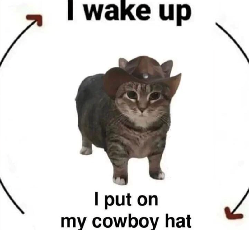 I wake up I put on my cowboy hat