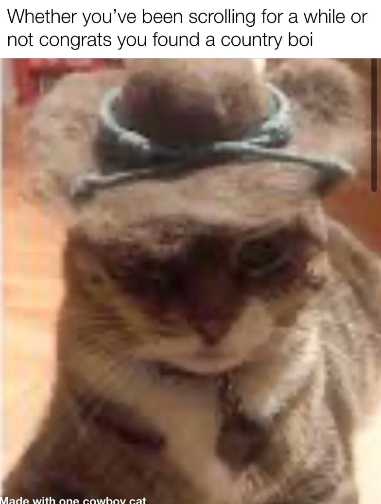 Whether you've been scrolling for a while or not congrats you found a country boi Made with one cowboy cat