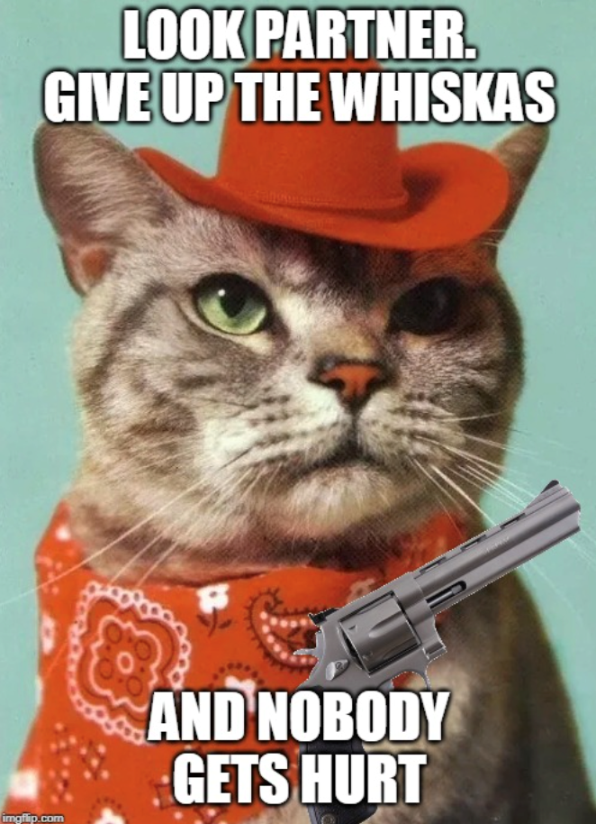 imgflip.com LOOK PARTNER. GIVE UP THE WHISKAS AND NOBODY GETS HURT