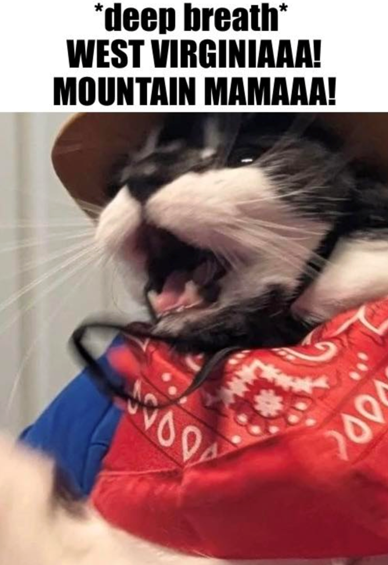 *deep breath* WEST VIRGINIAAA! MOUNTAIN MAMAAA! 200