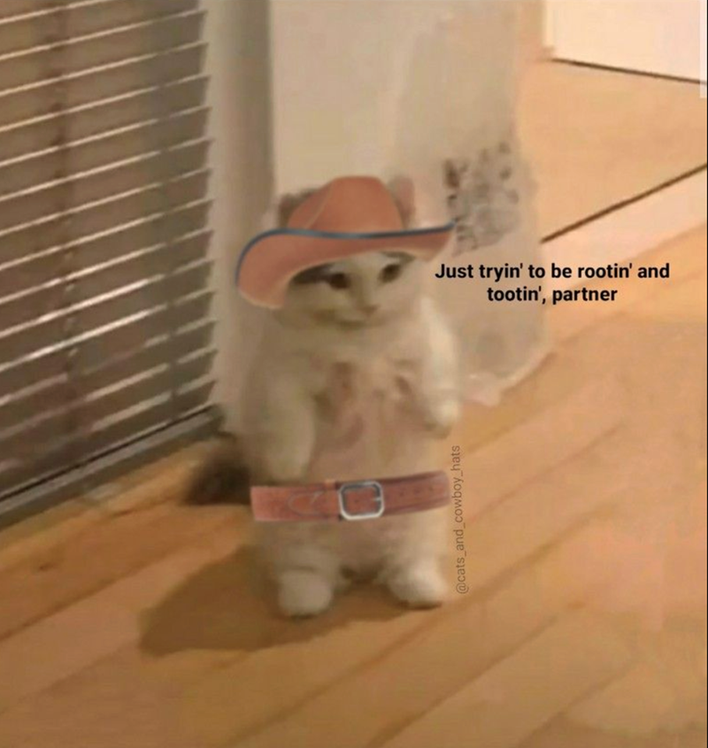 @cats_and_cowboy_hats Just tryin' to be rootin' and tootin', partner