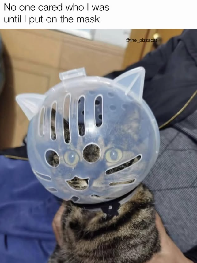 No one cared who I was until I put on the mask @the_pizzacat