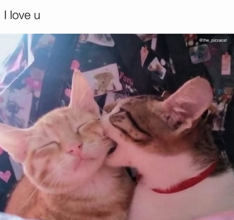 I love u For the_pizzacat