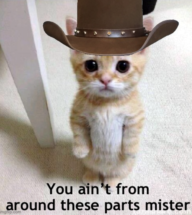 You ain't from around these parts mister imgflip.com