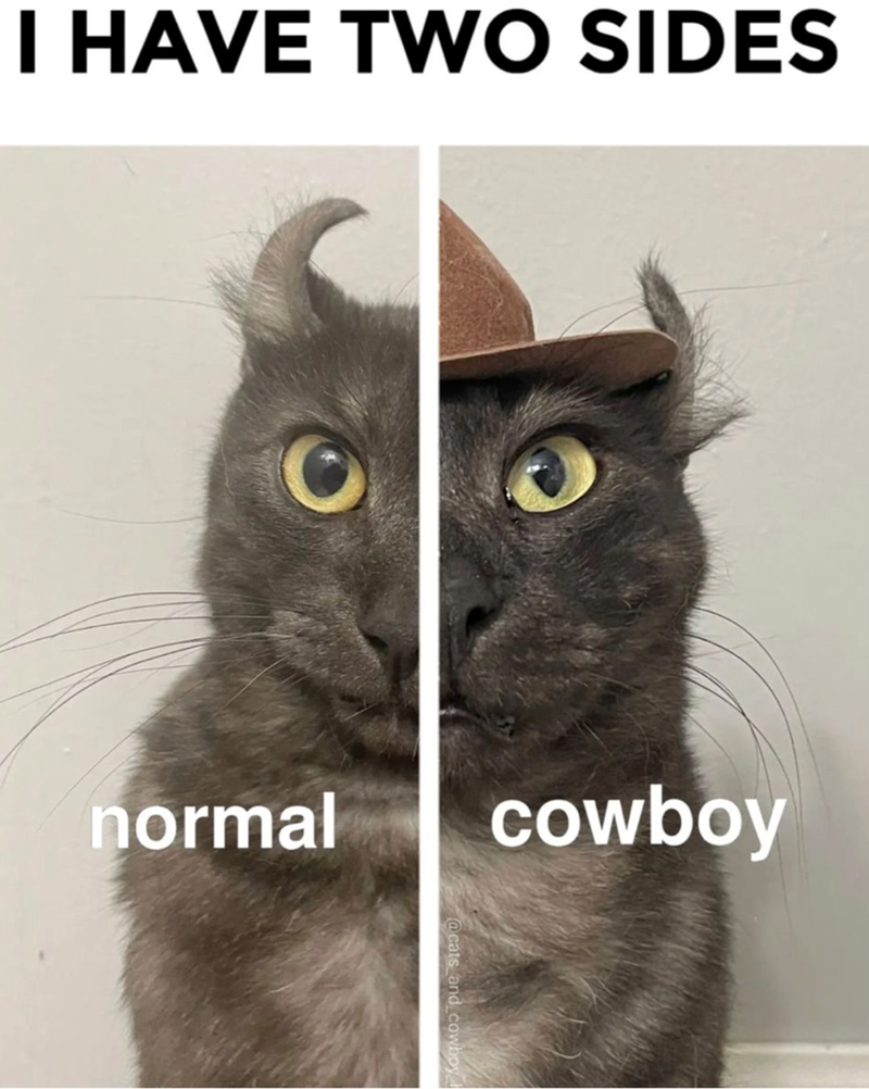 I HAVE TWO SIDES normal cowboy